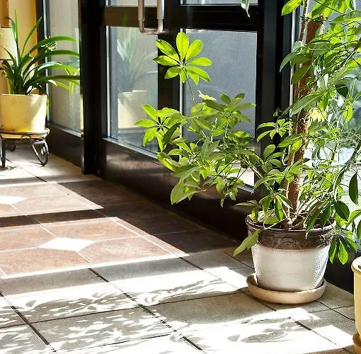 Linovo With Free Parking Hotel